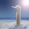 Cat Heaven's profile picture