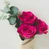 محمد الخشني's profile picture