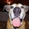 Brandon M's profile picture