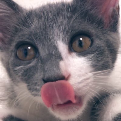 n_p_c_m_l_z_n's profile picture