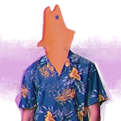 sakana_is_head's profile picture