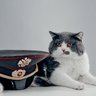Фото профиля Aleksandra Culum