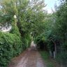 Фото профиля Bir garip yolcu