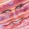 w0rm_face's profile picture