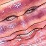 Heidi Klum’s worm face profil fotoğrafı