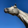 こんぱす profil fotoğrafı