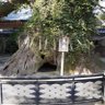 w.d.サンライズ profil fotoğrafı
