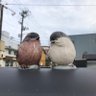 さや 的头像