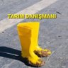 Caner Ak profil fotoğrafı