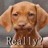 Buttered Sausage's profile picture