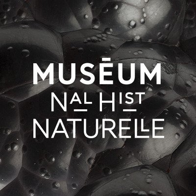 Muséum national d'Histoire naturelle's profile picture