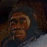 Profilbild von Missing_Link