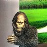 buddy's profile picture