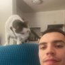 Leosaurio X profil fotoğrafı