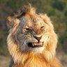 🔅Danana profil fotoğrafı