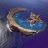 star💫 crescent🦋🛴✈🧳🛰📬 profil fotoğrafı