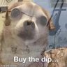 david's profile picture