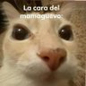 El Papu 的头像