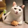 haku profil fotoğrafı