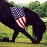 FreedomFightersDaughter🇺🇸 profil fotoğrafı