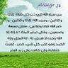 منير بن نصر الدين كنوز's profile picture