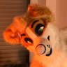 cake collie's profile picture