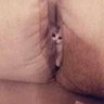 Sven's profile picture