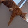 Locki ~ 로키 profil fotoğrafı