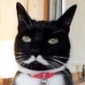 El Ramiro's profile picture