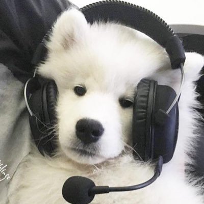 5's profile picture