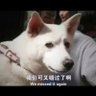 雨雨一直下 的头像