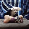 Profilbild von あいこ