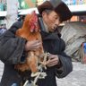 Фото профиля Chinese Nomad 盲流