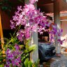 Satheesan. sp. .sp. 的头像