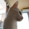 ゆっち profil fotoğrafı