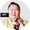 チームちゃんこ's profile picture