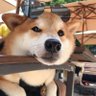 王牛哥 的头像