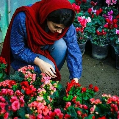 Zahraarmioun's profile picture