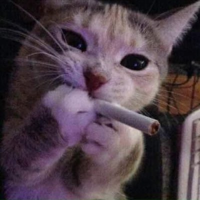 Mamano_ok's profile picture