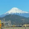 Фото профиля ゆうこりん