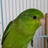 Profilbild von Rocky Lu