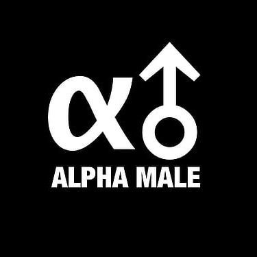 alupin678's profile picture