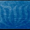 Hebrew Literacy 的头像