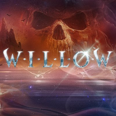 Willow's profile picture