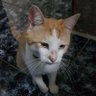 Antony R B(Gana Seguidores, #SiguemeYTesigo).'s profile picture