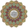 Фото профиля محمد فاروق خان