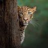 Фото профиля 🌿Andina⭐️⭐️⭐️