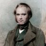 Darwin Finch profil fotoğrafı