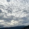 Pueblasivigila 的头像