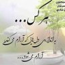 رضا جعفری 的头像